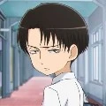 levi