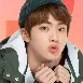 kim seokjin