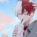 Todoroki