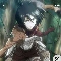 Mikasa