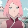 sakura
