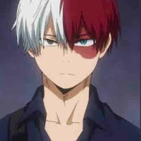Todoroki