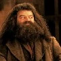 Hagrid