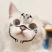 ᶠˡᵘᶠᶠʸ