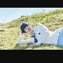 jin