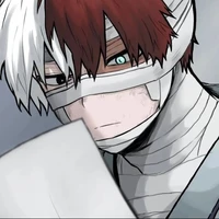 ❄Todoroki🔥