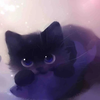 Night (cat form)