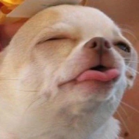 แอด