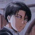 Levi