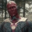 Vision