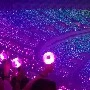 ARMYS
