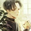 Levi Ackerman