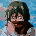 mikasa