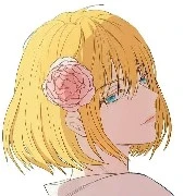 The Author
