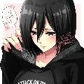Mikasa Ackerman(adek levi)