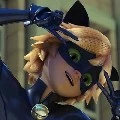 cat noir