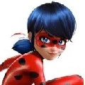 ladybug