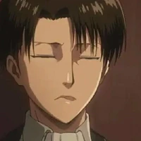 Levi