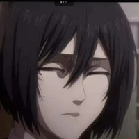 Mikasa