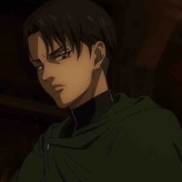 Levi