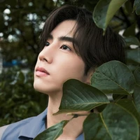 Mark