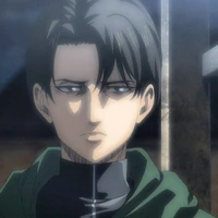 Levi