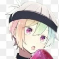 system (neko)