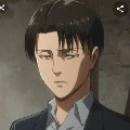 levi