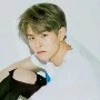 Yoshi (abang lalisa)
