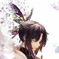 shinobu koco