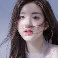 zhao lu si