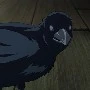 Itachi {corvo}