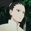 shikadai