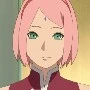 sakura