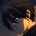 mikasa