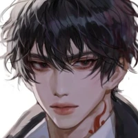 Aiden (prince of the wolfs)