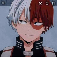 Todoroki 