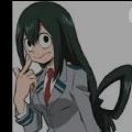 froppy