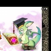 Smart Dragon