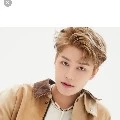 Taeil