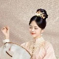 จินเซี่ย(พี่นางเอก)