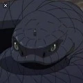 aoda