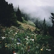 ตัวประกอบ​