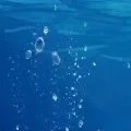 all