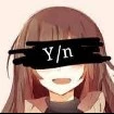 Y/N