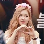 rose 🌹