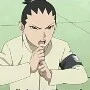 shikadai