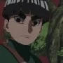 metal lee