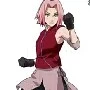 sakura