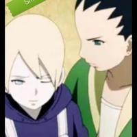 shikajin
